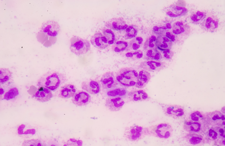 A variety of fruits and vegetables with a green smoothie in a glass.