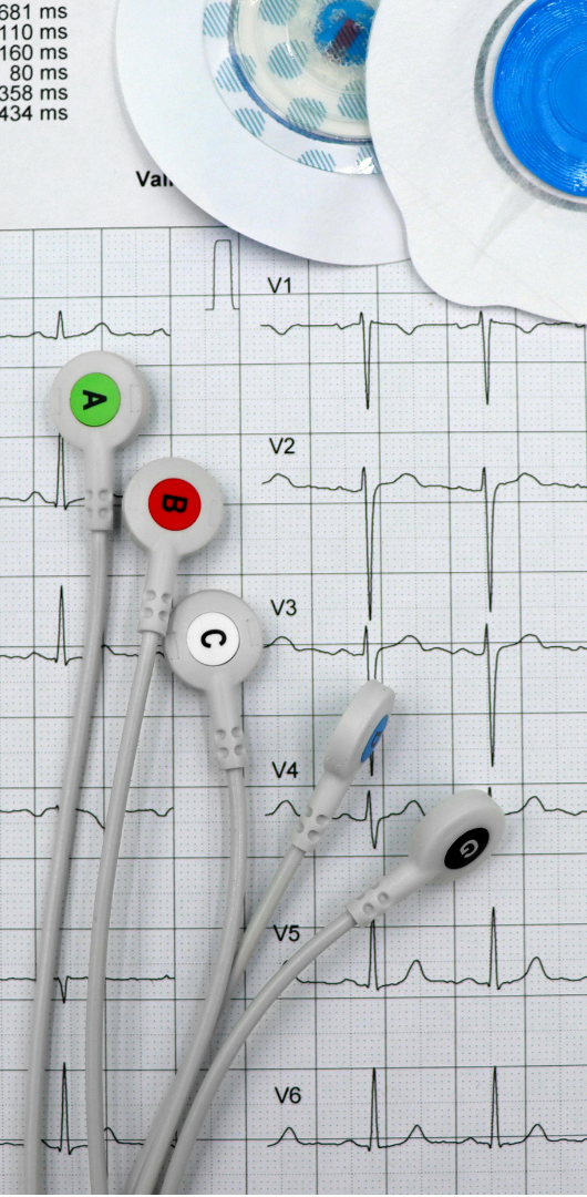 Foundation Electrocardiograph (ECG) Training Lead wires in red, green, blue, and black placed on an ECG reading background.