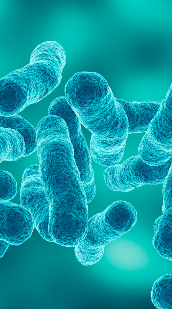 Sepsis Awareness Microscopic view of turquoise-coloured bacteria with a vibrant background.